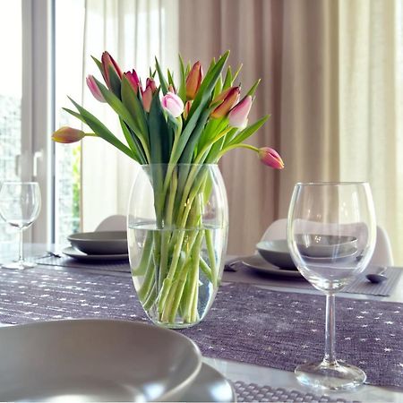 Modern Wohnen I Smart Tv I Terrasse I 2X Parkplatz I 2 Schlafzimmer I 6 Schlafplaetze 巴特恩豪森 外观 照片
